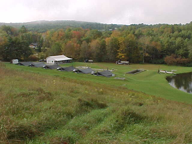 Trout Farm