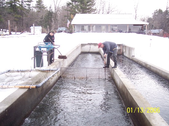 Mark Cleans Raceways